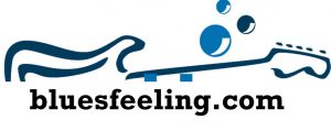 bluesfeeling logo